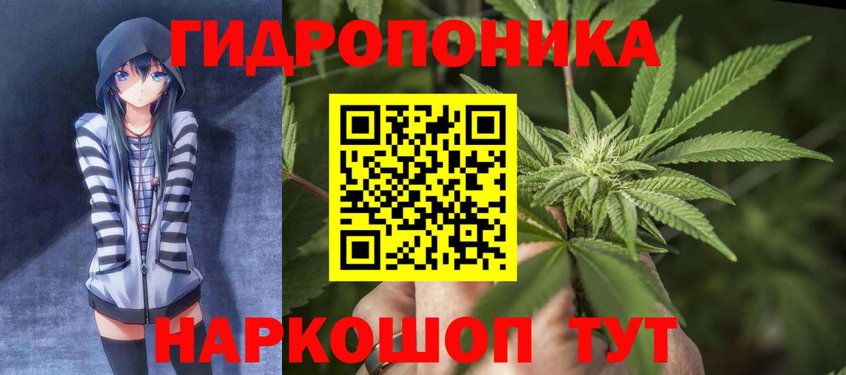 Конопля White Widow  Марихуана Ganja  Марихуана гибрид  Гудермес  Вход с VPN 